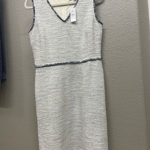Cream and Blue dress from Loft. BRAND NEW!
